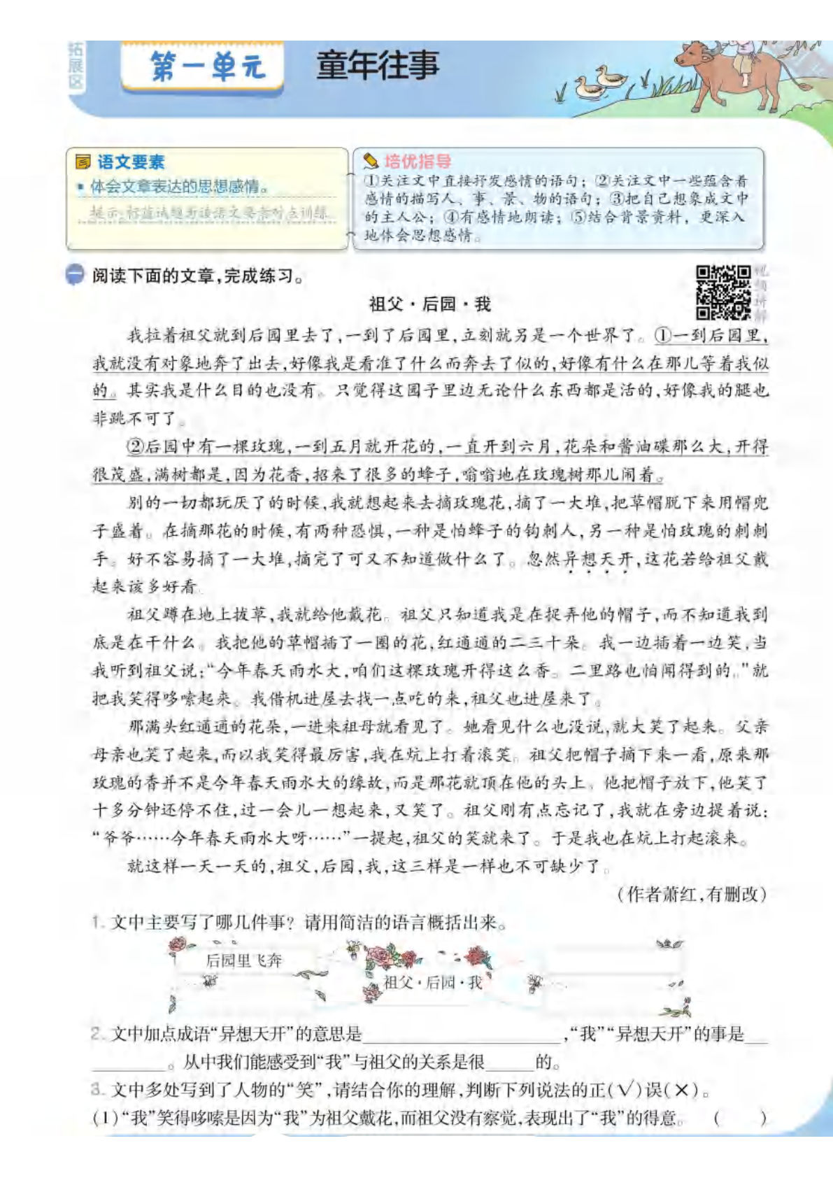 五年级下册语文看图写话+阅读训练 李老师精选