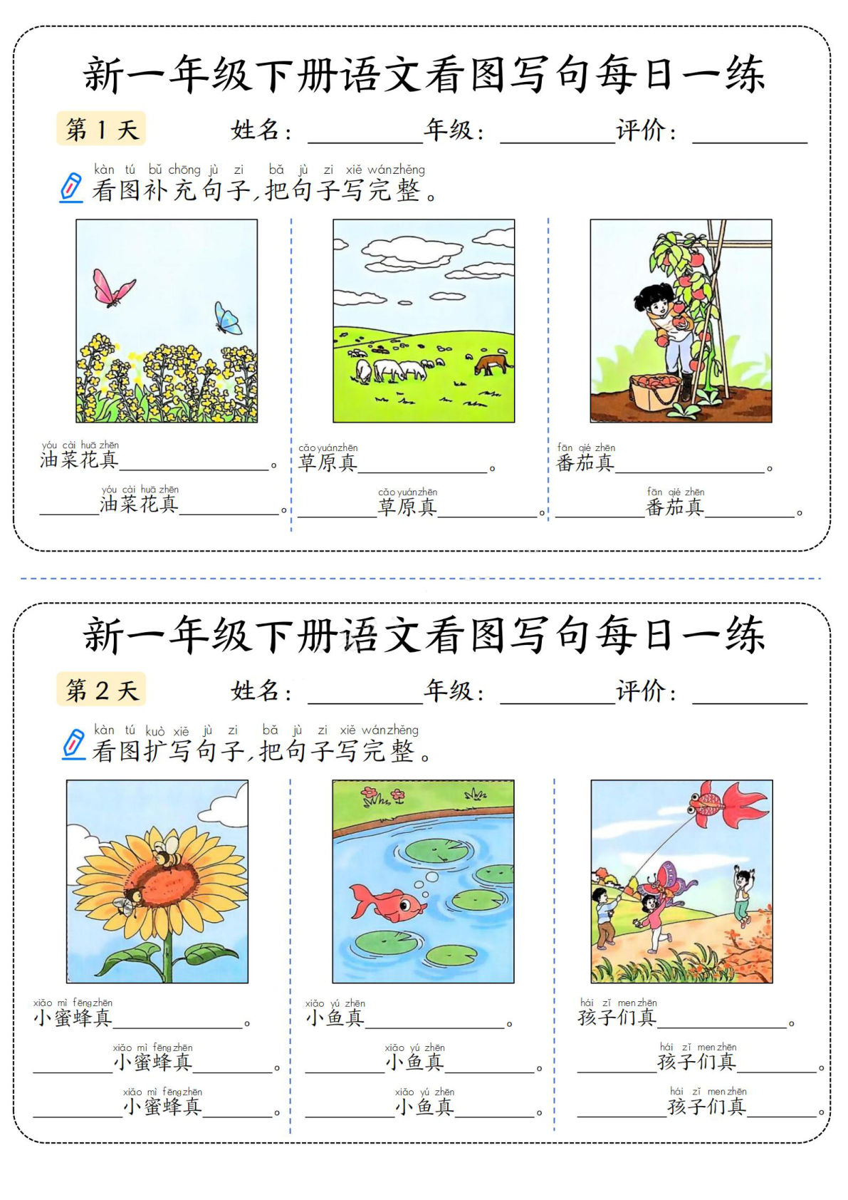 一年级下册语文 看图写话句子每日一练14天