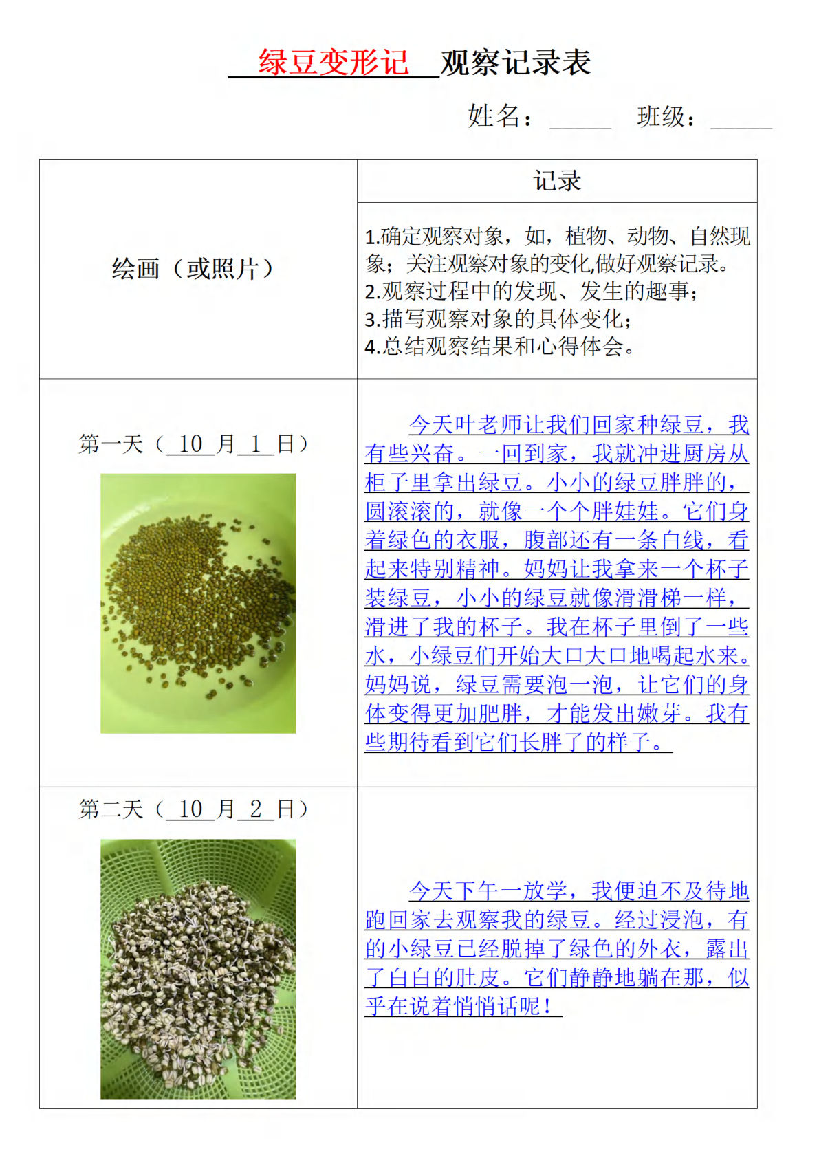 【第三单元习作：观察记录表日记专项】四年级上册语文