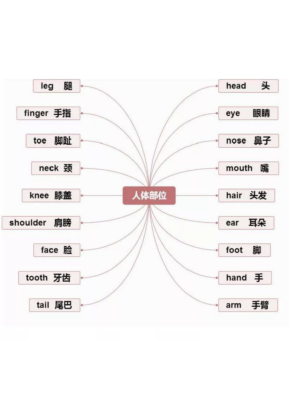 四年级下册英语【思维导图-知识点归纳】