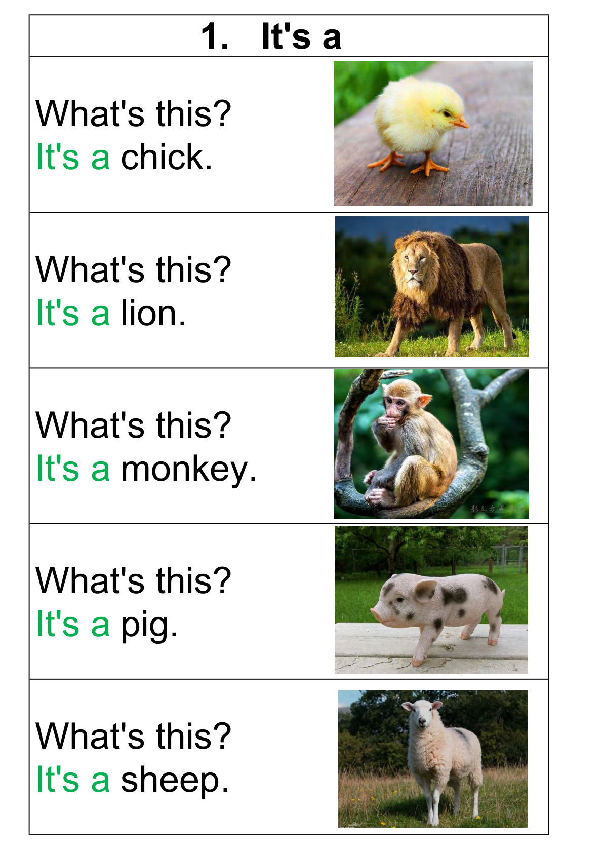 五上册Susan教英语名词实物图开口神器 (2)