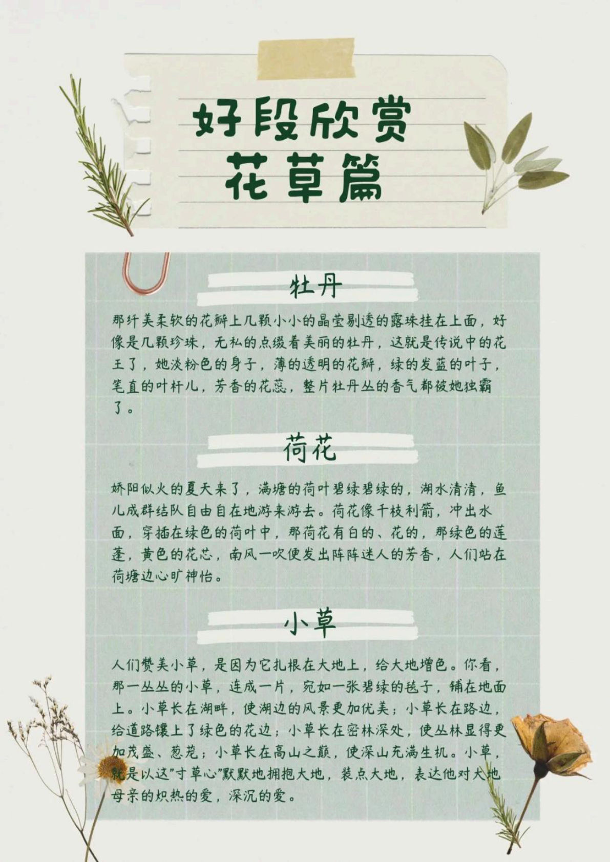 六上册每日晨读（好段欣赏）【16页】