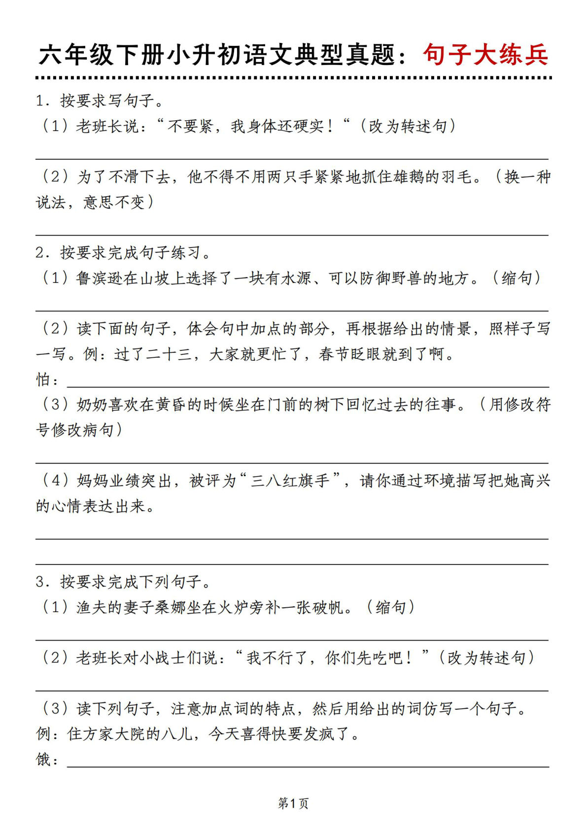 六年级下册语文典型真题：句子大练兵